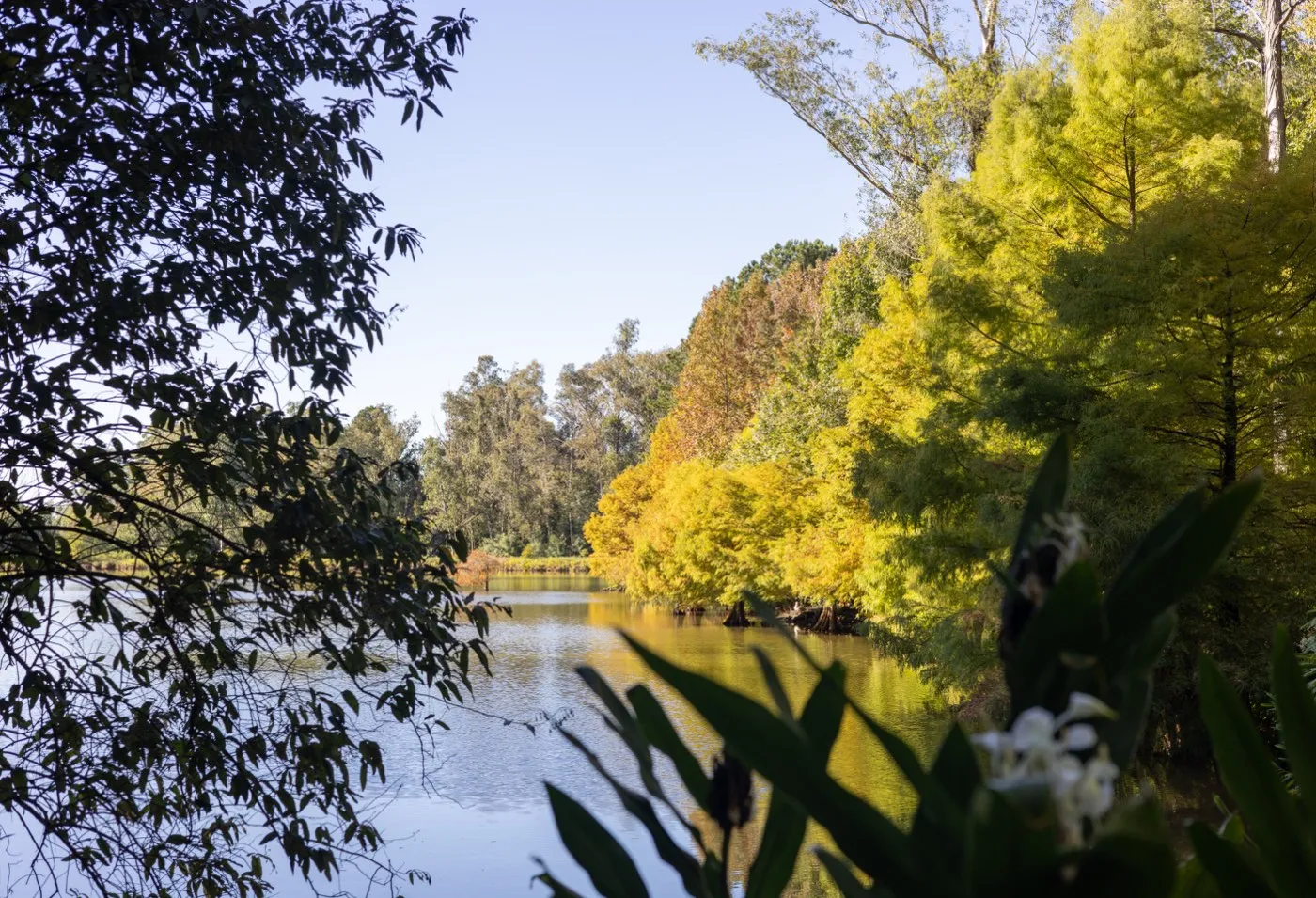 Parque Witeck — foto 6 de 12