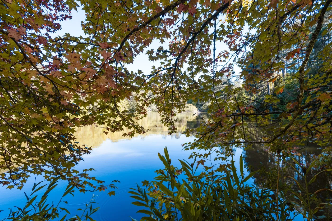 Parque Witeck — foto 11 de 12